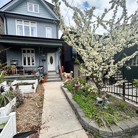 Garden Oasis Toronto Exterior foto