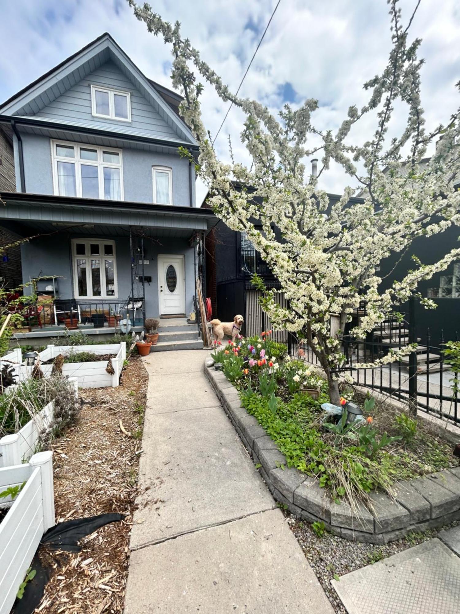 Garden Oasis Toronto Exterior foto